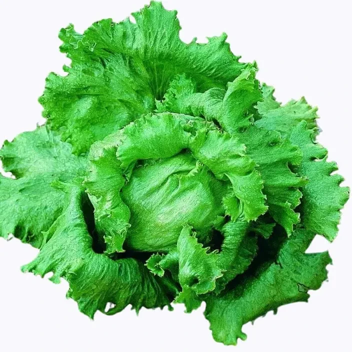 Lettuce