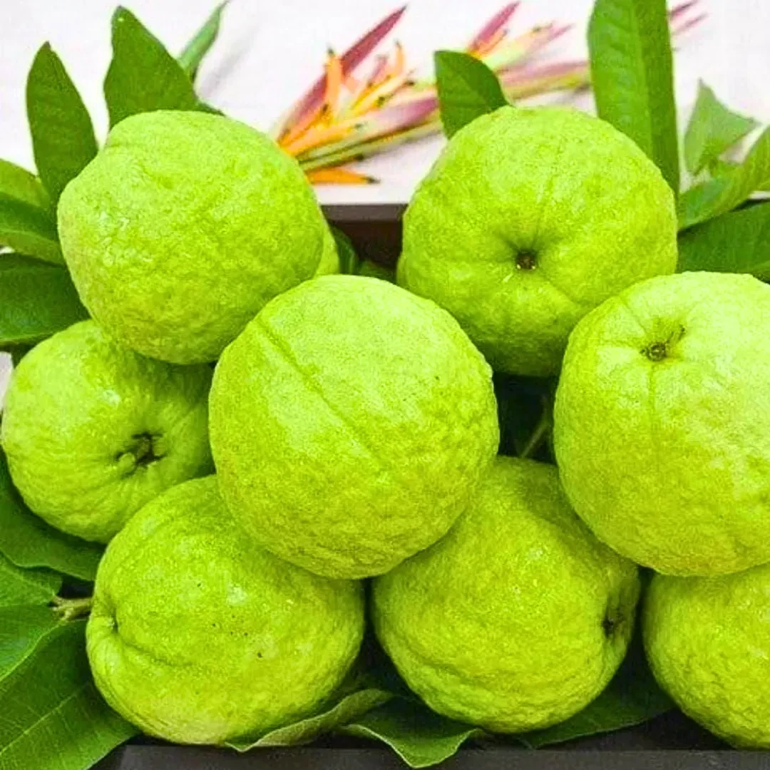 Guava -1 kg