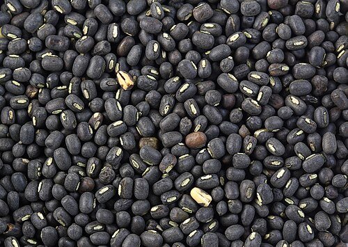 Black Gram -500 gm- ( Whole Black Gram /Whole Urad Dal)