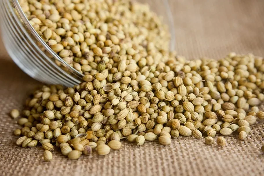 Coriander seed- 1 kg