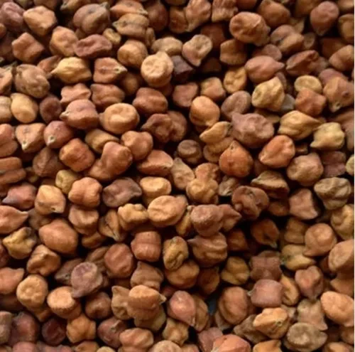 Black chana-500 gm   (  Brown  Chana )